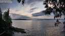 ./images/koeye/fitz-hugh/20250510/fitz-hugh20250510_202508M.jpg