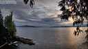 ./images/koeye/fitz-hugh/20250510/fitz-hugh20250510_205508M.jpg