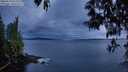 ./images/koeye/fitz-hugh/20250510/fitz-hugh20250510_213508M.jpg
