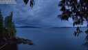 ./images/koeye/fitz-hugh/20250510/fitz-hugh20250510_214008M.jpg