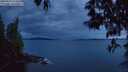 ./images/koeye/fitz-hugh/20250510/fitz-hugh20250510_214508M.jpg