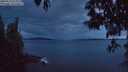 ./images/koeye/fitz-hugh/20250510/fitz-hugh20250510_215009M.jpg