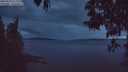 ./images/koeye/fitz-hugh/20250510/fitz-hugh20250510_215508M.jpg