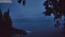 ./images/koeye/fitz-hugh/20250511/fitz-hugh20250511_050509M.jpg