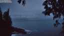 ./images/koeye/fitz-hugh/20250511/fitz-hugh20250511_051009M.jpg