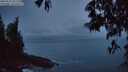 ./images/koeye/fitz-hugh/20250511/fitz-hugh20250511_051509M.jpg