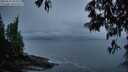 ./images/koeye/fitz-hugh/20250511/fitz-hugh20250511_052507M.jpg