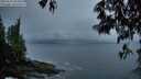 ./images/koeye/fitz-hugh/20250511/fitz-hugh20250511_053009M.jpg