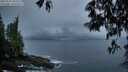 ./images/koeye/fitz-hugh/20250511/fitz-hugh20250511_053507M.jpg