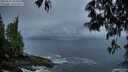 ./images/koeye/fitz-hugh/20250511/fitz-hugh20250511_054009M.jpg