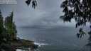 ./images/koeye/fitz-hugh/20250511/fitz-hugh20250511_054509M.jpg