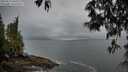 ./images/koeye/fitz-hugh/20250511/fitz-hugh20250511_060510M.jpg