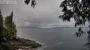 ./images/koeye/fitz-hugh/20250511/fitz-hugh20250511_061510M.jpg