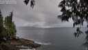 ./images/koeye/fitz-hugh/20250511/fitz-hugh20250511_062510M.jpg