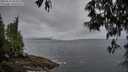 ./images/koeye/fitz-hugh/20250511/fitz-hugh20250511_063010M.jpg