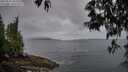 ./images/koeye/fitz-hugh/20250511/fitz-hugh20250511_063510M.jpg