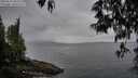 ./images/koeye/fitz-hugh/20250511/fitz-hugh20250511_065010M.jpg