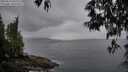 ./images/koeye/fitz-hugh/20250511/fitz-hugh20250511_065510M.jpg