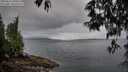 ./images/koeye/fitz-hugh/20250511/fitz-hugh20250511_070010M.jpg