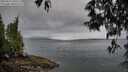 ./images/koeye/fitz-hugh/20250511/fitz-hugh20250511_070510M.jpg
