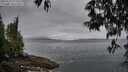 ./images/koeye/fitz-hugh/20250511/fitz-hugh20250511_072009M.jpg