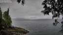 ./images/koeye/fitz-hugh/20250511/fitz-hugh20250511_072510M.jpg