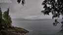 ./images/koeye/fitz-hugh/20250511/fitz-hugh20250511_073010M.jpg