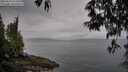 ./images/koeye/fitz-hugh/20250511/fitz-hugh20250511_073510M.jpg