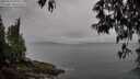 ./images/koeye/fitz-hugh/20250511/fitz-hugh20250511_075011M.jpg