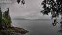 ./images/koeye/fitz-hugh/20250511/fitz-hugh20250511_082008M.jpg