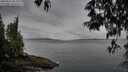 ./images/koeye/fitz-hugh/20250511/fitz-hugh20250511_083510M.jpg