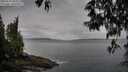 ./images/koeye/fitz-hugh/20250511/fitz-hugh20250511_084010M.jpg