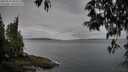 ./images/koeye/fitz-hugh/20250511/fitz-hugh20250511_084510M.jpg
