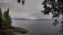 ./images/koeye/fitz-hugh/20250511/fitz-hugh20250511_085010M.jpg