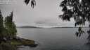 ./images/koeye/fitz-hugh/20250511/fitz-hugh20250511_094010M.jpg