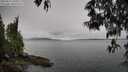 ./images/koeye/fitz-hugh/20250511/fitz-hugh20250511_100011M.jpg