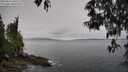 ./images/koeye/fitz-hugh/20250511/fitz-hugh20250511_100510M.jpg