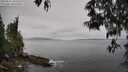 ./images/koeye/fitz-hugh/20250511/fitz-hugh20250511_101010M.jpg