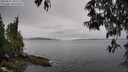 ./images/koeye/fitz-hugh/20250511/fitz-hugh20250511_101511M.jpg