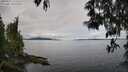 ./images/koeye/fitz-hugh/20250511/fitz-hugh20250511_111510M.jpg