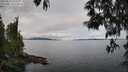 ./images/koeye/fitz-hugh/20250511/fitz-hugh20250511_112510M.jpg