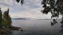 ./images/koeye/fitz-hugh/20250511/fitz-hugh20250511_115510M.jpg