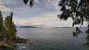 ./images/koeye/fitz-hugh/20250511/fitz-hugh20250511_120011M.jpg