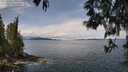./images/koeye/fitz-hugh/20250511/fitz-hugh20250511_120510M.jpg