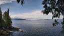 ./images/koeye/fitz-hugh/20250511/fitz-hugh20250511_121010M.jpg
