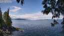 ./images/koeye/fitz-hugh/20250511/fitz-hugh20250511_122510M.jpg