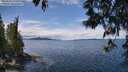 ./images/koeye/fitz-hugh/20250511/fitz-hugh20250511_123510M.jpg