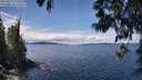 ./images/koeye/fitz-hugh/20250511/fitz-hugh20250511_124509M.jpg