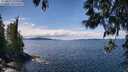 ./images/koeye/fitz-hugh/20250511/fitz-hugh20250511_125010M.jpg