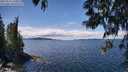 ./images/koeye/fitz-hugh/20250511/fitz-hugh20250511_130011M.jpg
